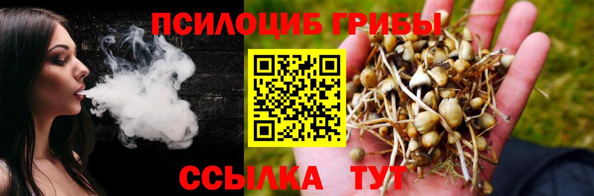 Йошкар-Ола  Псилоцибиновые грибы Psilocybe  Псилоцибиновые грибы GOLDEN TEACHER  Вход с VPN 
